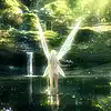 Picture for song 'Feeling Senses, Inoccent music - My forest Fairy' by artist 'L-Tiger'
