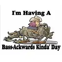 Picture for song 'Bassackwards' by artist 'Michael Duran'