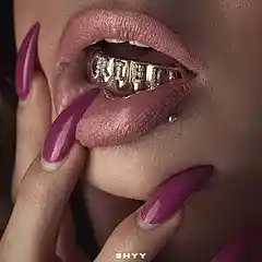 Picture for song 'SORRY' by artist 'SHYY BEATS'