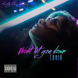 Picture for song 'Wont Let You Down' by artist 'Hustle Lane Musick'