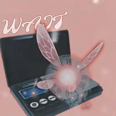Picture for song 'WAIT ! *FREE NOT4PROFIT DOWNLOAD*' by artist 'ItsJgOnDaBeat'