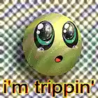 Picture for song '2hundred50' by artist 'labbor'