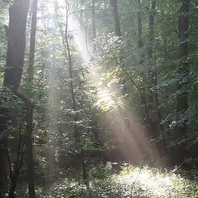 Picture for song 'Waiting For The Angels' by artist 'Leonard Scaper'