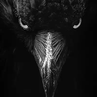 Picture for song '21 SAVAGE TYPE BEAT "SUSSURRO DO ABISMO"' by artist 'NEDIL Production'