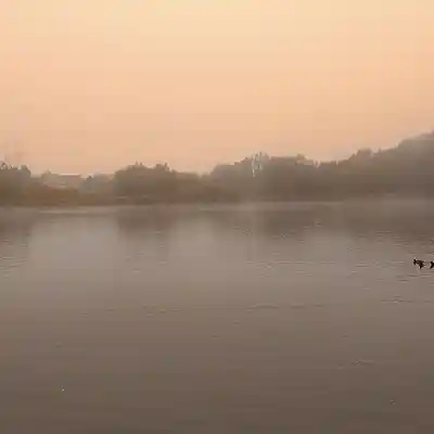 Picture for song 'The Dark Shadow' by artist 'Restsound'