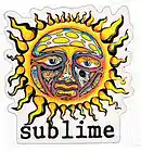 Picture for song 'What I Got-sublime cover' by artist 'Rotten Billy'