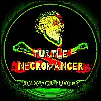 Picture for song 'The Shakedown' by artist 'Turtle Necromancer'