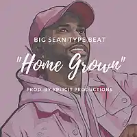 Picture for song 'Big Sean Type Beat//Home Grown' by artist 'Xplicit Productions'