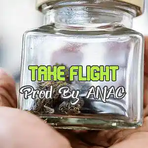 Picture for song 'Take Flight' by artist 'Anac On The Beat'