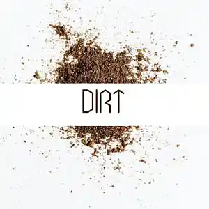 Picture for song 'Dirt (Dirty South Club Type Beat) - Devezin.com' by artist 'Devezin'