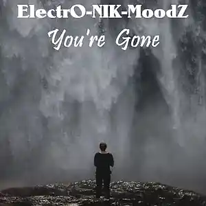 Picture for song 'You're Gone' by artist 'ElectrO-NIK-MoodZ'