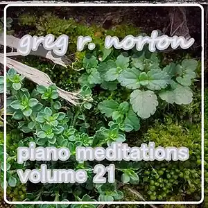 Picture for song 'GRN Music - PianoMeditationClxxxivRedux' by artist 'Greg R. Norton'