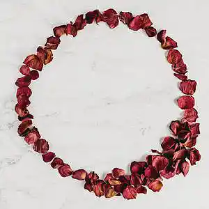 Picture for song 'Bracelet' by artist 'Hey Lowe'