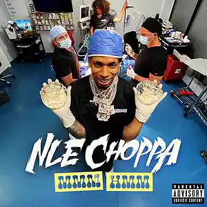 Picture for song 'NLE CHOPPA - Mmm Hmm (Official Audio)' by artist 'Masked Rapper'