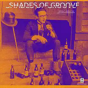 Picture for song 'Shades Of Groove' by artist 'Meja Leesome'