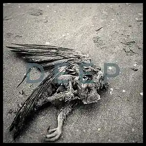 Song picture