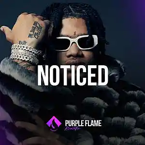 Picture for song 'Noticed (Buy 1 Get 1 Free)' by artist 'PURPLE FLAME BEATS'