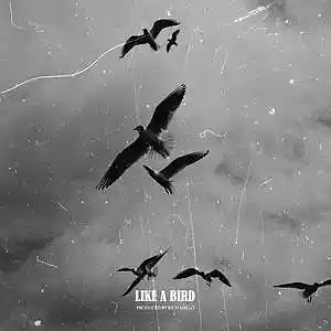 Picture for song 'Like a Bird' by artist 'RICH MELLO'