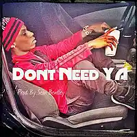 Picture for song '*New* Dont Need Ya x SK styl&#101 Beat (Free DL)' by artist 'Sean Bentley'