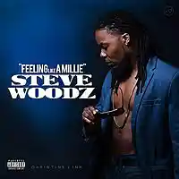 Picture for song 'Feeling Like a Millie prod by Steve Woodz' by artist 'Steve Woodz'
