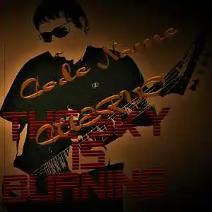 Picture for song 'TSIB 05. Americana (Peace)' by artist 'Carlos C Cuervo'