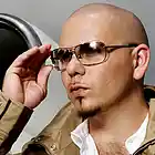 Picture for song '*Sold!* Elevate (Pitbull & Afrojack Beat!)' by artist 'DJ Shaw-t'