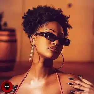 Picture for song 'BAOBAB (AFROBEAT) TEMS X BURNA BOY X MALEEK BERRY' by artist 'Forbidden Riddimz'