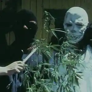 Picture for song 'Fujunbutsu - Test' by artist 'Fujunbutsu'