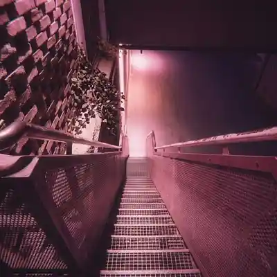 Picture for song 'SADE X ERYKAH BADU X NEO SOUL "BRITTLE WALTZ"' by artist 'KODEX NECROM'