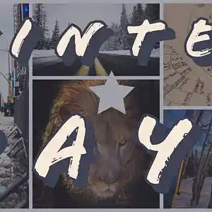 Picture for song 'Winter Days' by artist 'Philly Dash'