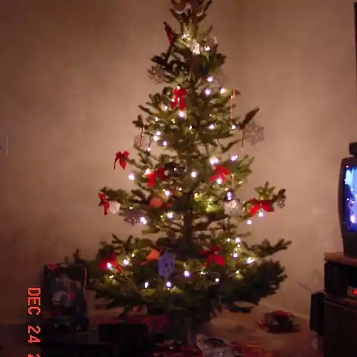 Picture for song 'SongForMyFather_11-1-10' by artist 'Trillium - Cincinnati'