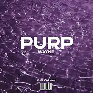 Picture for song 'PURP' by artist 'wayne.prods'