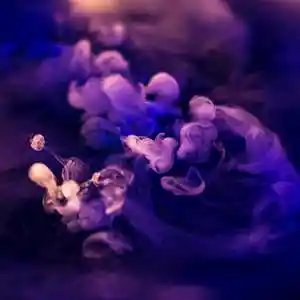 Picture for song '"Digits"-Rap Instrumental(Prod.whoDeany) [1]' by artist 'whoDeanyBeatz'