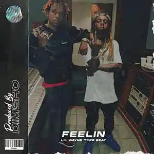 Picture for song 'Feelin' by artist 'Dimsho Beats'