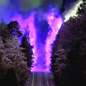 Picture for song 'Purple Forests - Juice wrld type beat - 166' by artist 'prodbyindus'