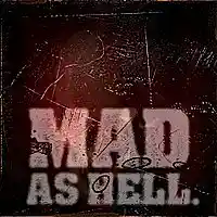 Picture for song 'Mad as Hell' by artist 'konjura'