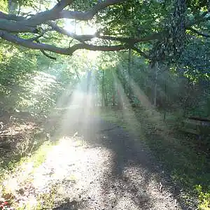 Picture for song 'Another Way Home' by artist 'Leonard Scaper'