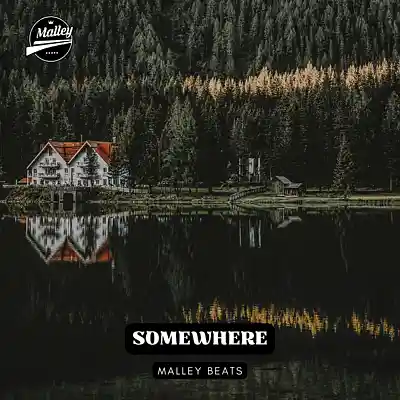 Picture for song 'SOMEWHERE [MORGAN WALLEN x LIL DURK TYPE BEAT]' by artist 'Malley Beats'