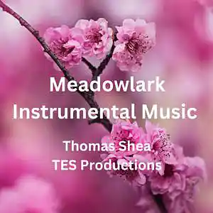 Picture for song '3 Dangerous One' by artist 'Meadowlark Instrumental Music'