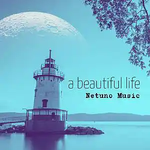 Picture for song 'A Beautiful Life (long version)' by artist 'Netuno Soundtracks'
