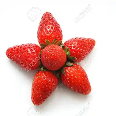 Picture for song 'Strawberry Star' by artist 'Okaifern'