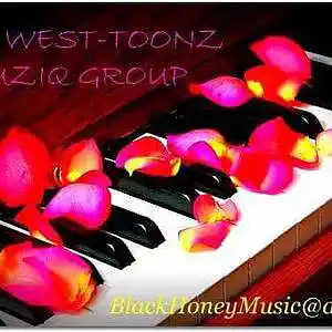 Picture for song 'NO FAIR' by artist 'West-Toonz Muzik Group (DJ COCO)'