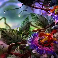 Picture for song 'Passiflora 88 Bpm' by artist 'Zafenatpena Beatz Productions'