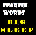 Picture for song 'Fearful Words' by artist 'BIG SLEEP'