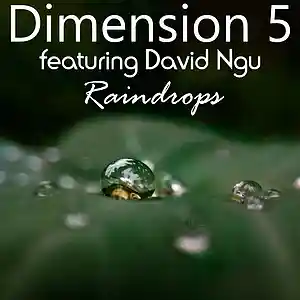 Picture for song 'Raindrops ft David Ngu' by artist 'Dimension 5'