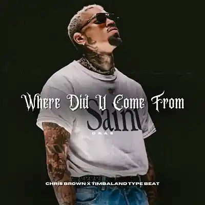 Picture for song '"Where Did U Come From" w/ hook (Timbaland x Chris' by artist 'Dras On The Beat'