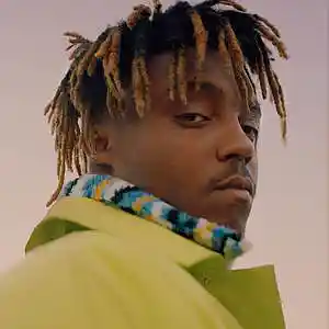Picture for song 'Juice WRLD Type Beat- "Flowers" (Soms x Palmrr)' by artist 'iansoms'