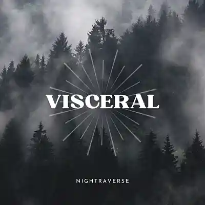 Picture for song 'Visceral' by artist 'Nightraverse'