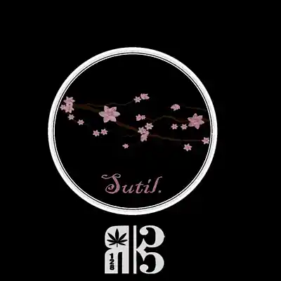 Picture for song 'SUTIL -E menor- 86BPM wav (no TAG)' by artist 'RubenBeat'