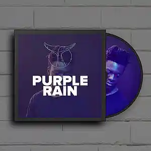 Picture for song 'Purple Rain' by artist 'Whvle Sound'